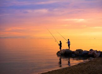 Jakie techniki stosuje się w procesie poznania naukowego?