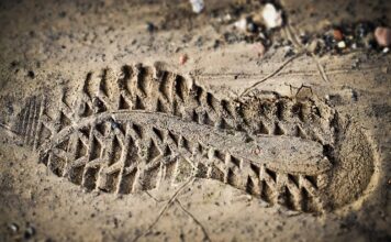 Co oznacza Ocena w Librusie? Co oznacza Ocena w Librusie?