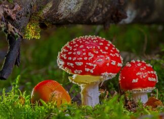 Kiedy znajomość jest toksyczną? Kiedy znajomość jest toksyczną?