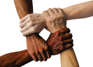 Jak zbudować społeczność w internecie?