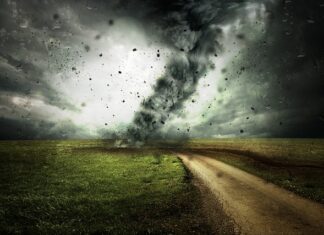 Co daje zmiana nawyków żywieniowych?