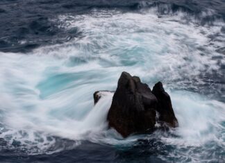 Jak rozmawiać z klientem o cenie?