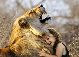 Jak mieć lepsze życie i relację? Jak mieć lepsze życie i relację?