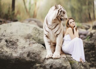 Jak znaleźć partnera biznesowego za granicą?