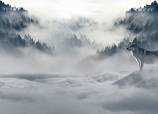 Co wpływa na złą atmosferę w pracy? Co wpływa na złą atmosferę w pracy?