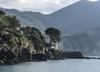 Ile kosztuje wystawienie ogłoszenia na LinkedIn?