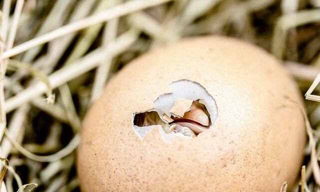 Jak nauczyć się wytrwałości?